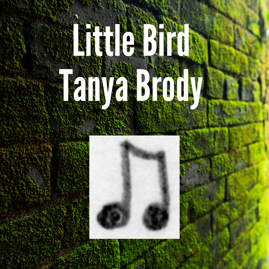 Brody Little Bird